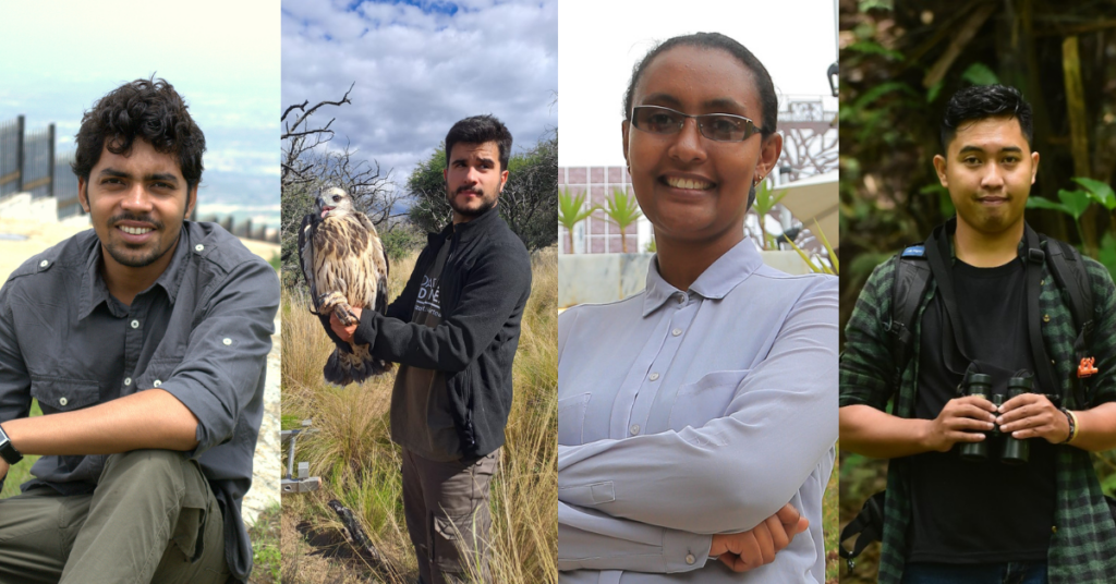 2024 Global Raptor Grant Recipients will Study Three Endangered Species, Further Study on Vulnerable Owl