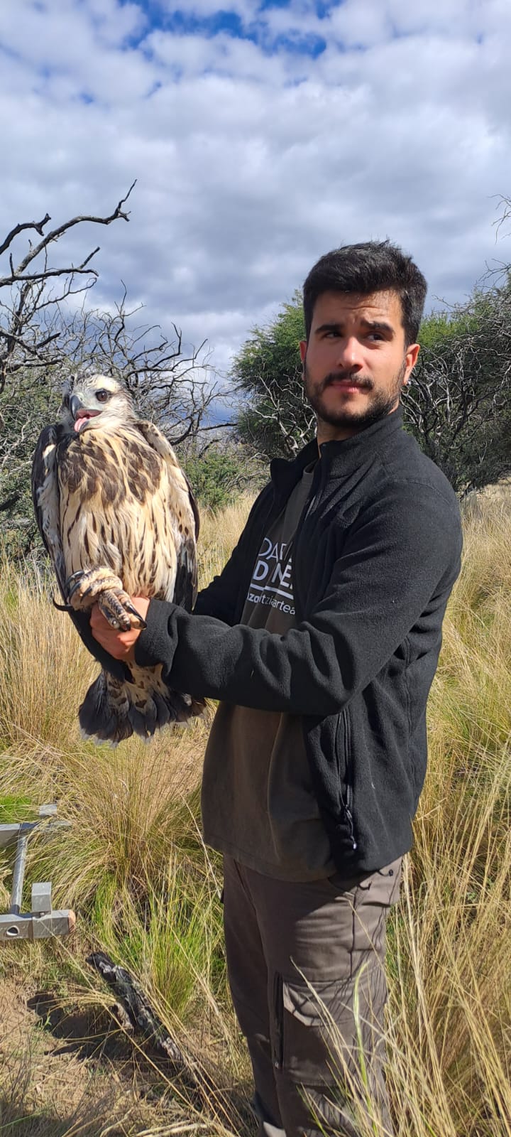 2024 Global Raptor Grant Recipients will Study Three Endangered Species ...