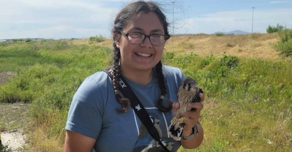 Who is nesting in our network? A Look at American Kestrel Lineage and Site Fidelity