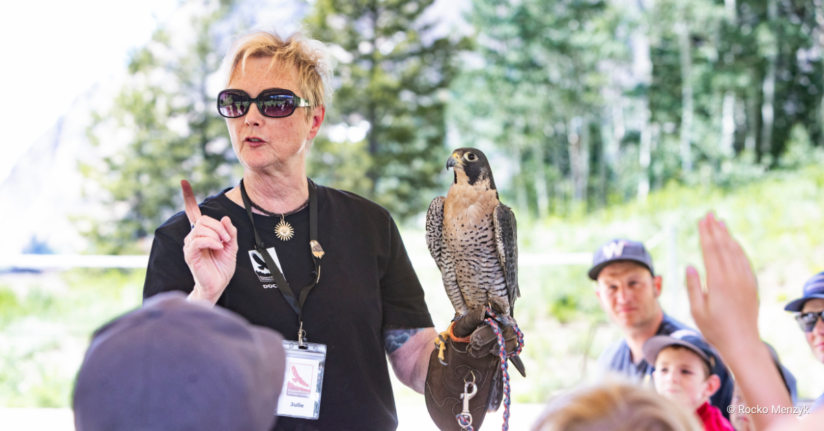 HawkWatch International – Conserving raptors and our shared environment