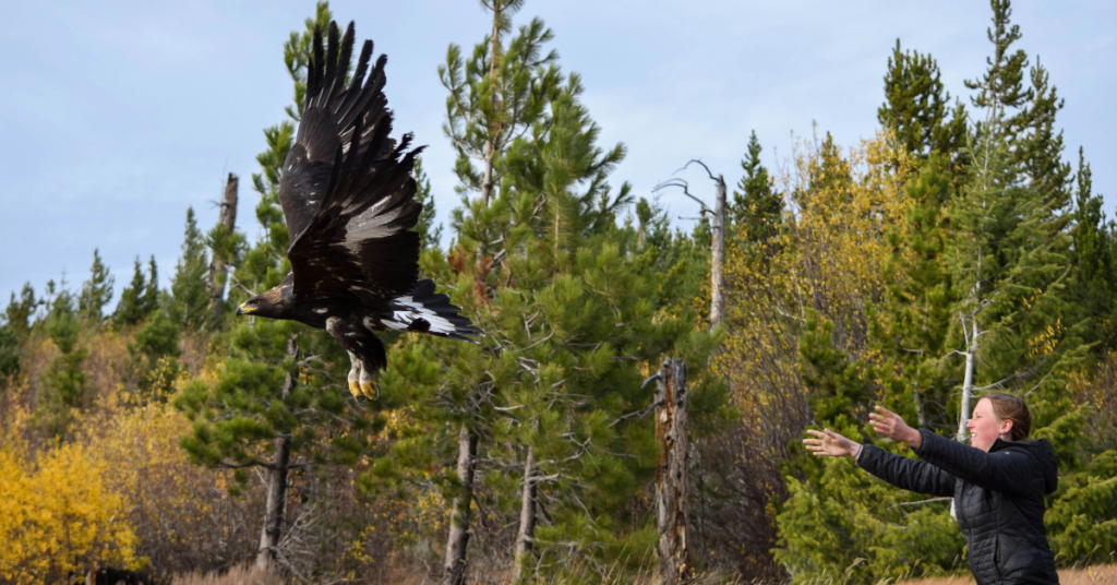 Women’s History Month: Women in Conservation