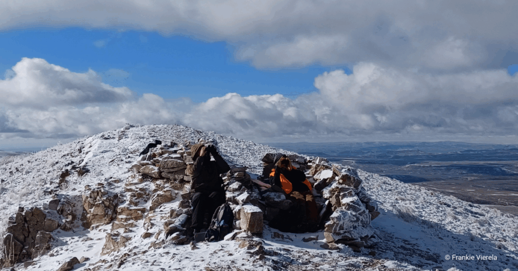 Breaking into the Field of Raptor Research