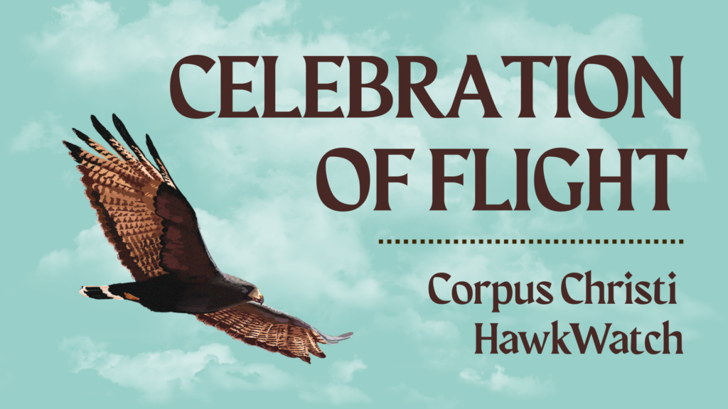 celebration of flight 2026