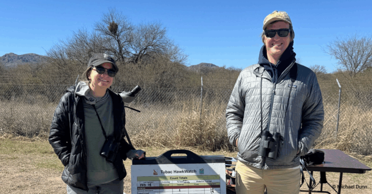 Tubac HawkWatch Crew 2026