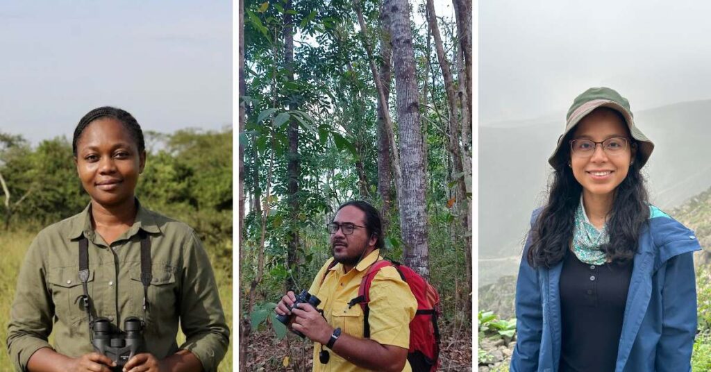 The Year of the Owl: the 2026 Winners of the Global Raptor Research and Conservation Grant