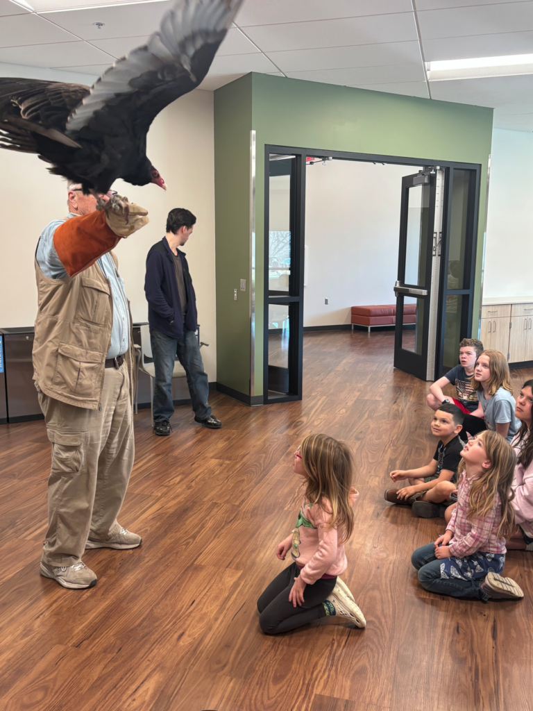 Operation WildLife Inc presenting an education program with a Turkey Vulture