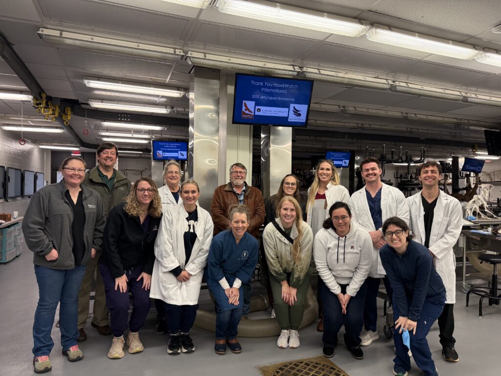 Auburn University Raptor Center raptor medicine training lab