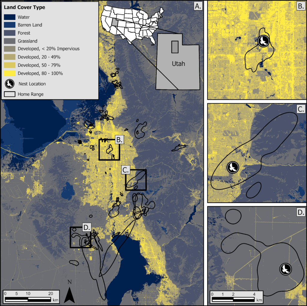 unnamed Home range map of American Kestrels in Utah