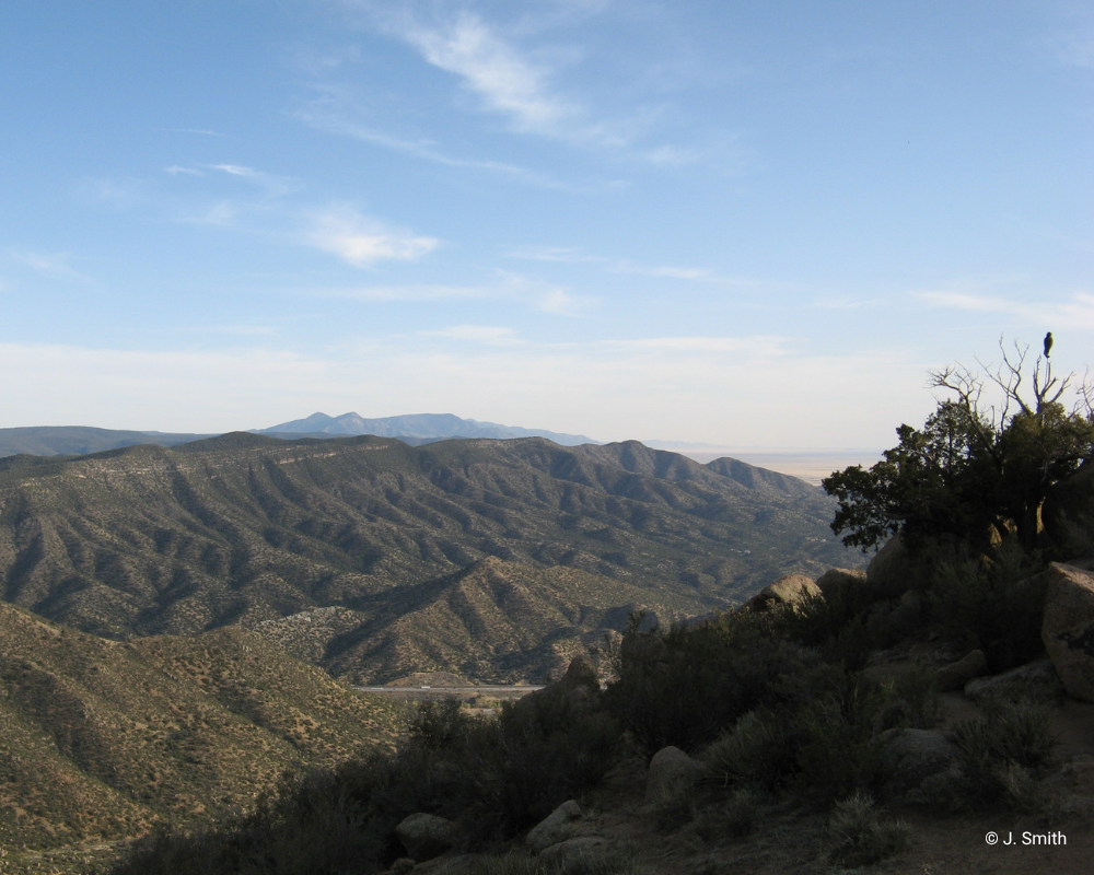 Sandia Mountains HawkWatch Sandia Mountains HawkWatch