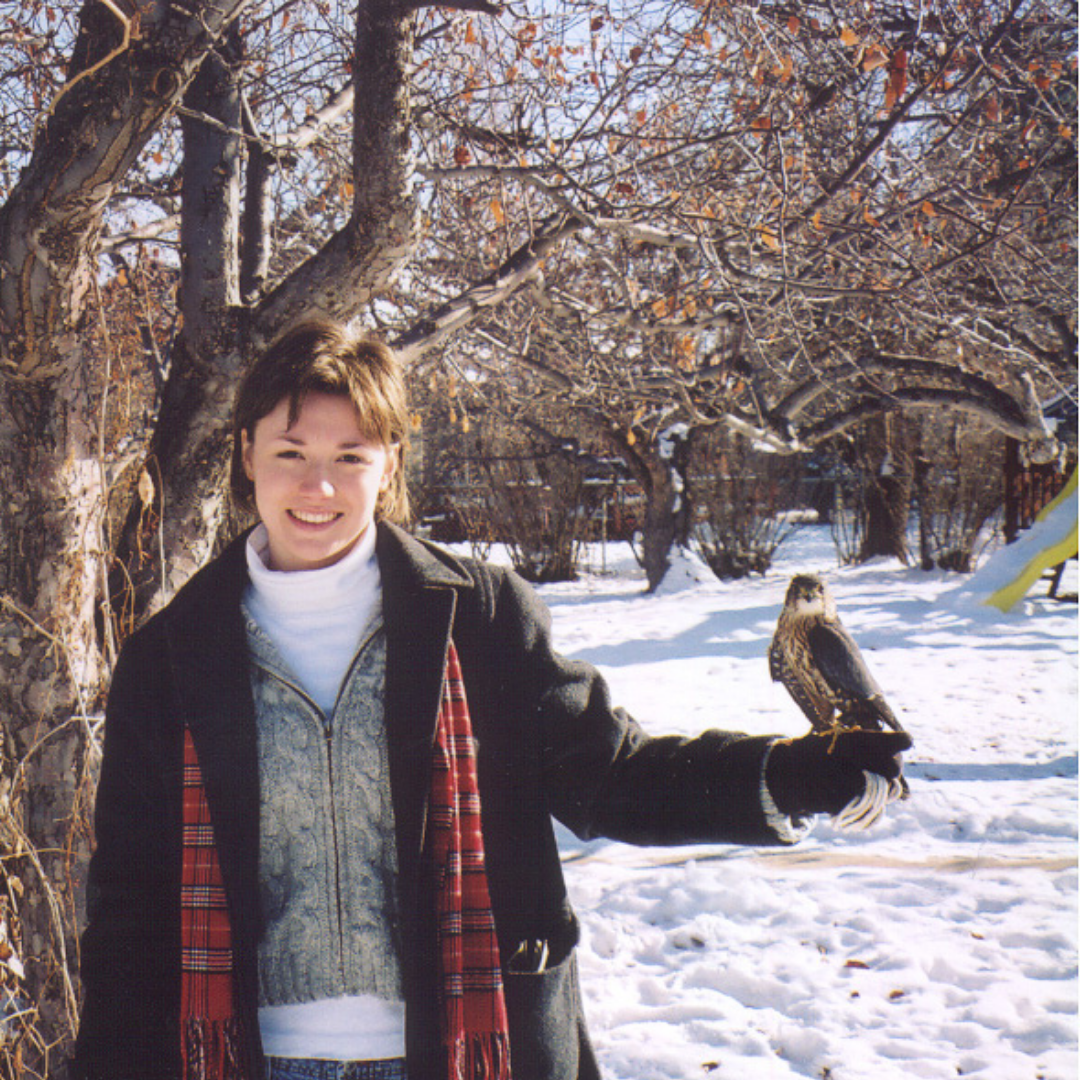 Taiga, HawkWatch International Merlin Raptor Ambassador
