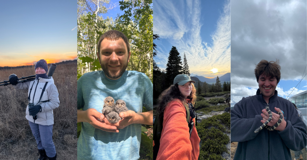 Meet the 2026 Crew: Grand Canyon HawkWatch