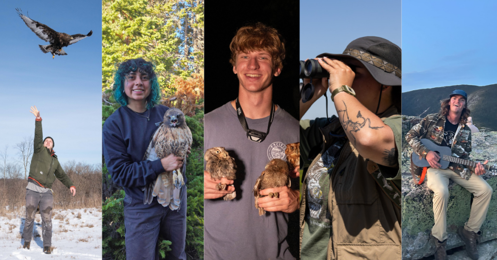 Meet the 2026 Crew: Goshute Mountains HawkWatch