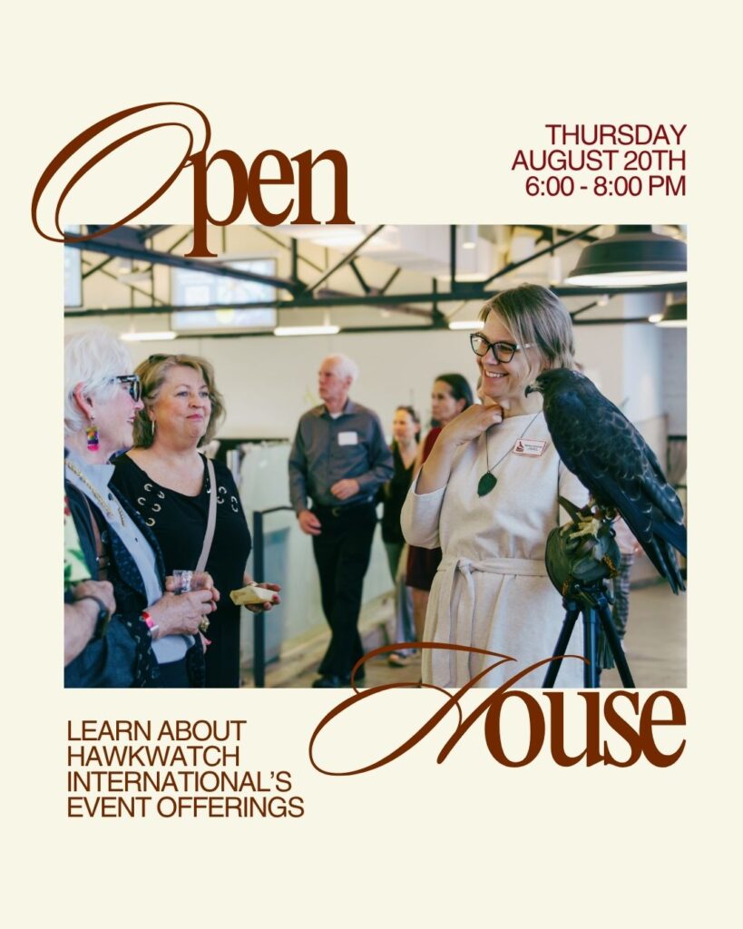 An "Open House" flyer with text: "Learn about HawkWatch International's Event Offerings" "Thursday August 20th 6:00 - 8:00 pm." The flyer features a woman smiling in a tan dress with a bird of prey on her arm.