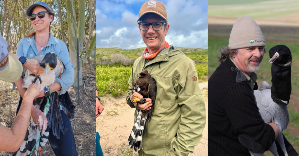 Meet the Crew Conserving Secretarybirds this Season