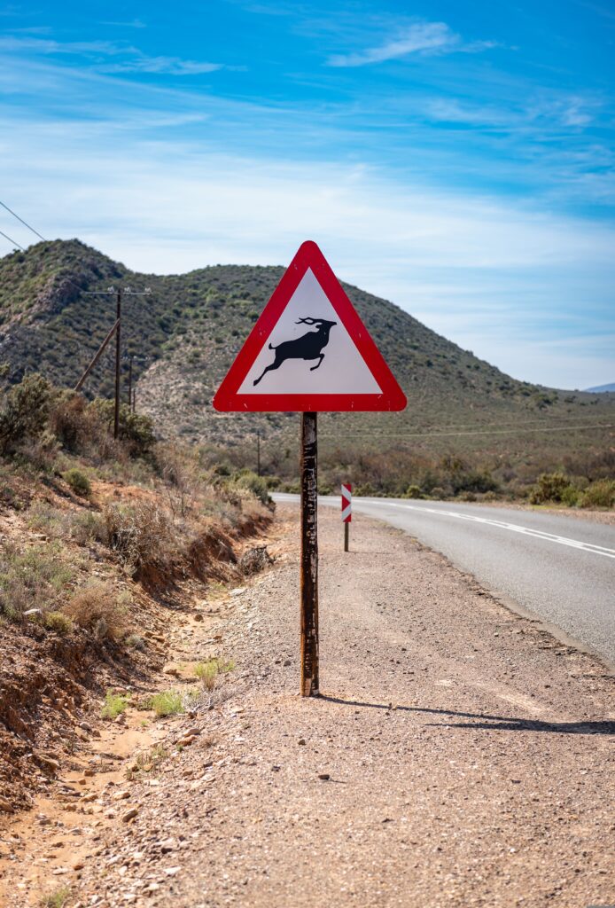 Wildlife crossing sign along the road
